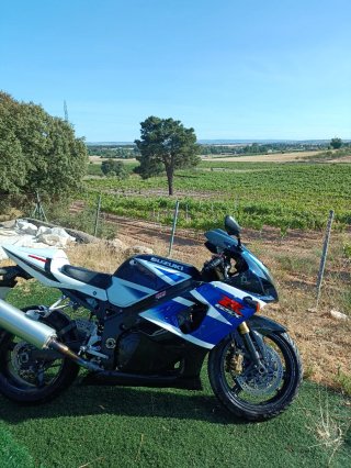 Suzuki GSXR 1000cc Moto Deportiva