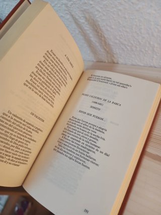 Los 25000 mejores versos de la lengua castellana