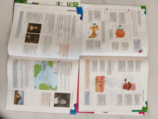Science, 5 Primary, Outside the Box, ByME.