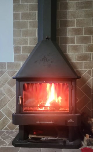 Chimenea de leña metálica con puerta de cristal