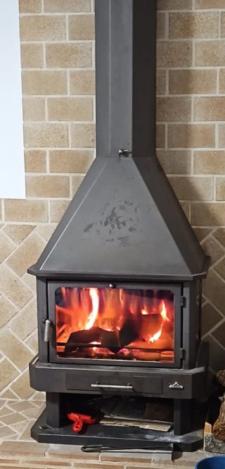 Chimenea de leña metálica con puerta de cristal