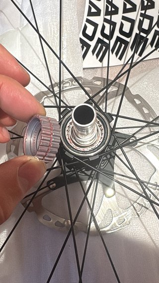 Núcleo Micro Spline Nuevo
