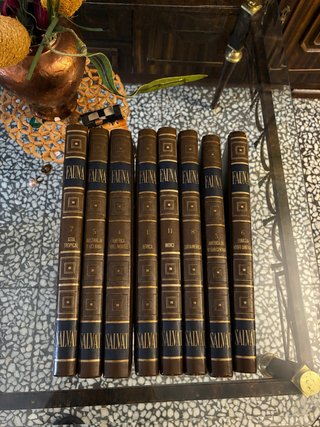 Colección fauna