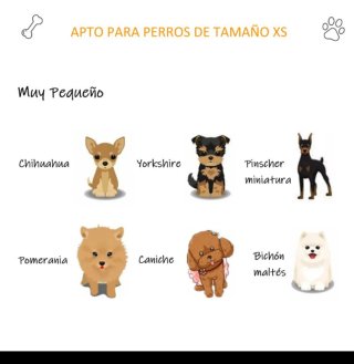 Caseta para perro de madera
