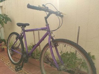 Bicicleta Montaña Morada