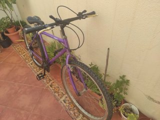 Bicicleta Montaña Morada