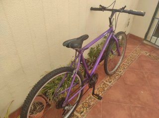 Bicicleta Montaña Morada