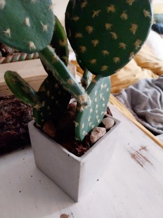 Planta Cactus Artificial Decorativa