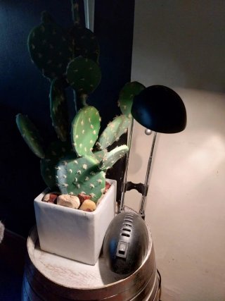 Planta Cactus Artificial Decorativa