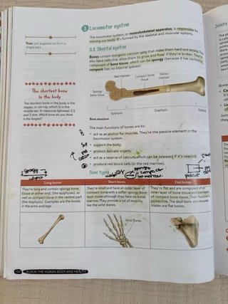 Biology & Geology 3º ESO. Student's book. GENiOX