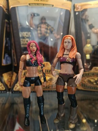 Sasha Banks y Becky Lynch duo divas Mattel