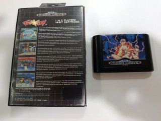 Fatal Fury Mega Drive Sega