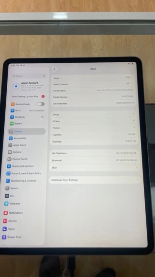 iPad Pro 12.9 4ª Gen 256GB Plata