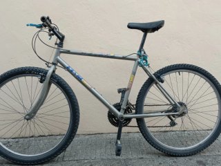 Bicicleta de montaña plateada