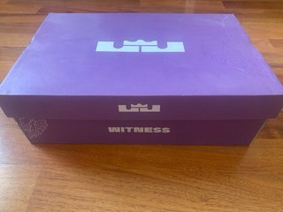Zapatillas Nike Lebron Witness 8