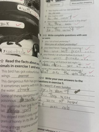 YOUR INFLUENCE TODAY A2 Student's book: libro d...