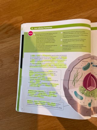 Libro Biología y Geología 3º ESO Santillana
