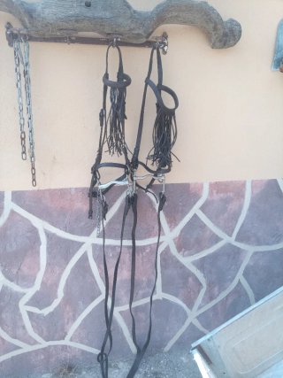 Dos Cabezadas caballo vaquera de cuero