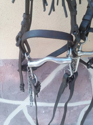 Dos Cabezadas caballo vaquera de cuero