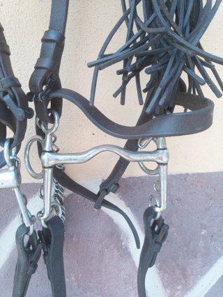 Dos Cabezadas caballo vaquera de cuero