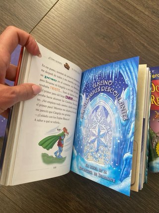 Lote libros