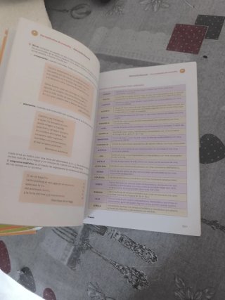 Lengua castellana y literatura, 4 ESO, Proyecto...