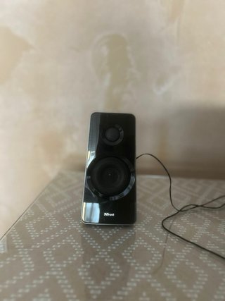 Altavoz Trust Negro/Gris