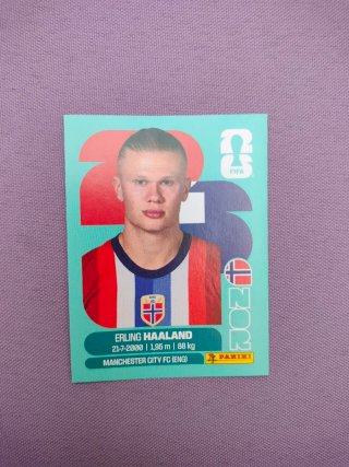 Cromos Mundial Erling Haaland Panini