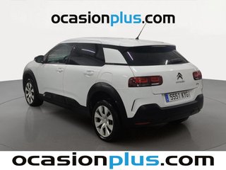 Citroen C4 Cactus BlueHDi 100 S&S Business 73 kW (99 CV)