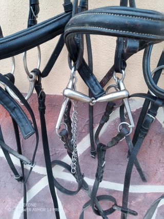 Cabezadas caballo inglesa de cuero