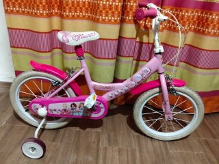 Bicicleta niña 16 con ruedines