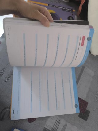 Llengua catalana i literatura, 4 ESO, Projecte ...