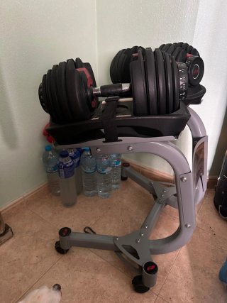 Mancuernas Ajustables Bowflex 2-24 kg