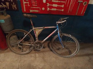 Bicicleta de Montaña