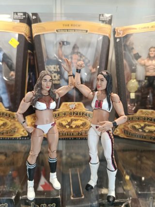 Nikki y Brie Bella WWE Battle Pack Mattel