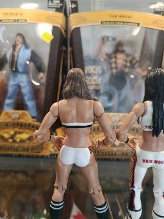 Nikki y Brie Bella WWE Battle Pack Mattel