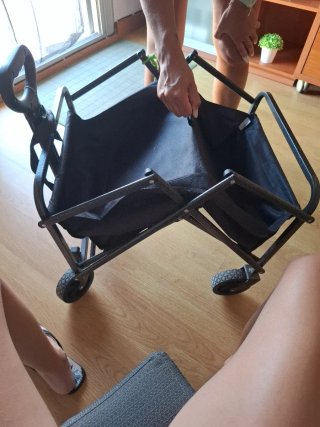 Carro para la playa