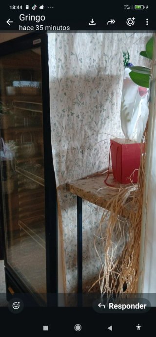 Cámara Frigorífica Coreca Transparente
