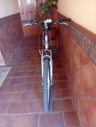 Bicicleta de montaña plateada
