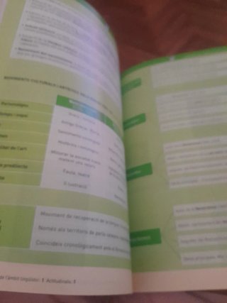 Llengua catalana i literatura, 4 ESO.