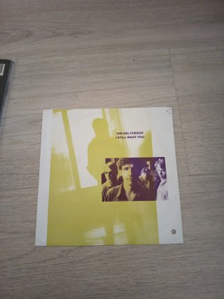 The Del Fuegos Stand up LP + Single