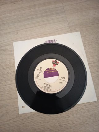 The Del Fuegos Stand up LP + Single