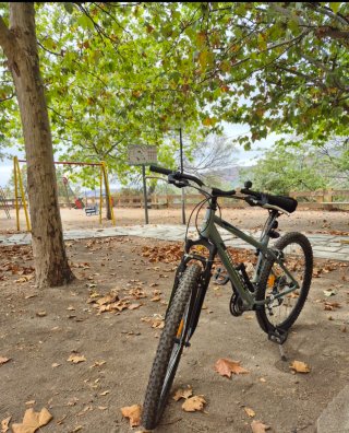 Bicicleta de montaña