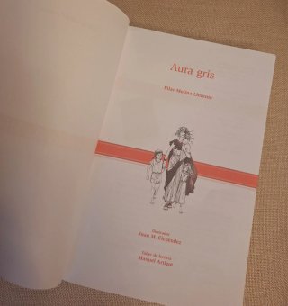 "Aura gris". Pilar Molina Llorente