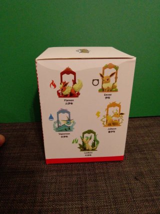 Box Eevee Pokemon