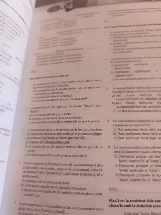 Va de bo! Nivell superior de valencià (C2)