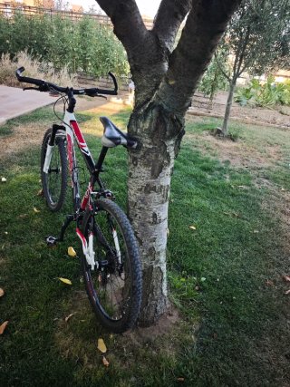 Bicicleta Conor AFX 8500 26 24V
