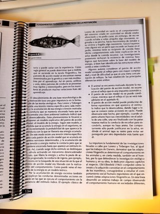 Psicología social y de la motivación
