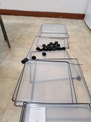 Bandejas y accesorios para mascotas