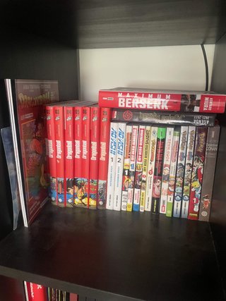 Manga aleatorio
